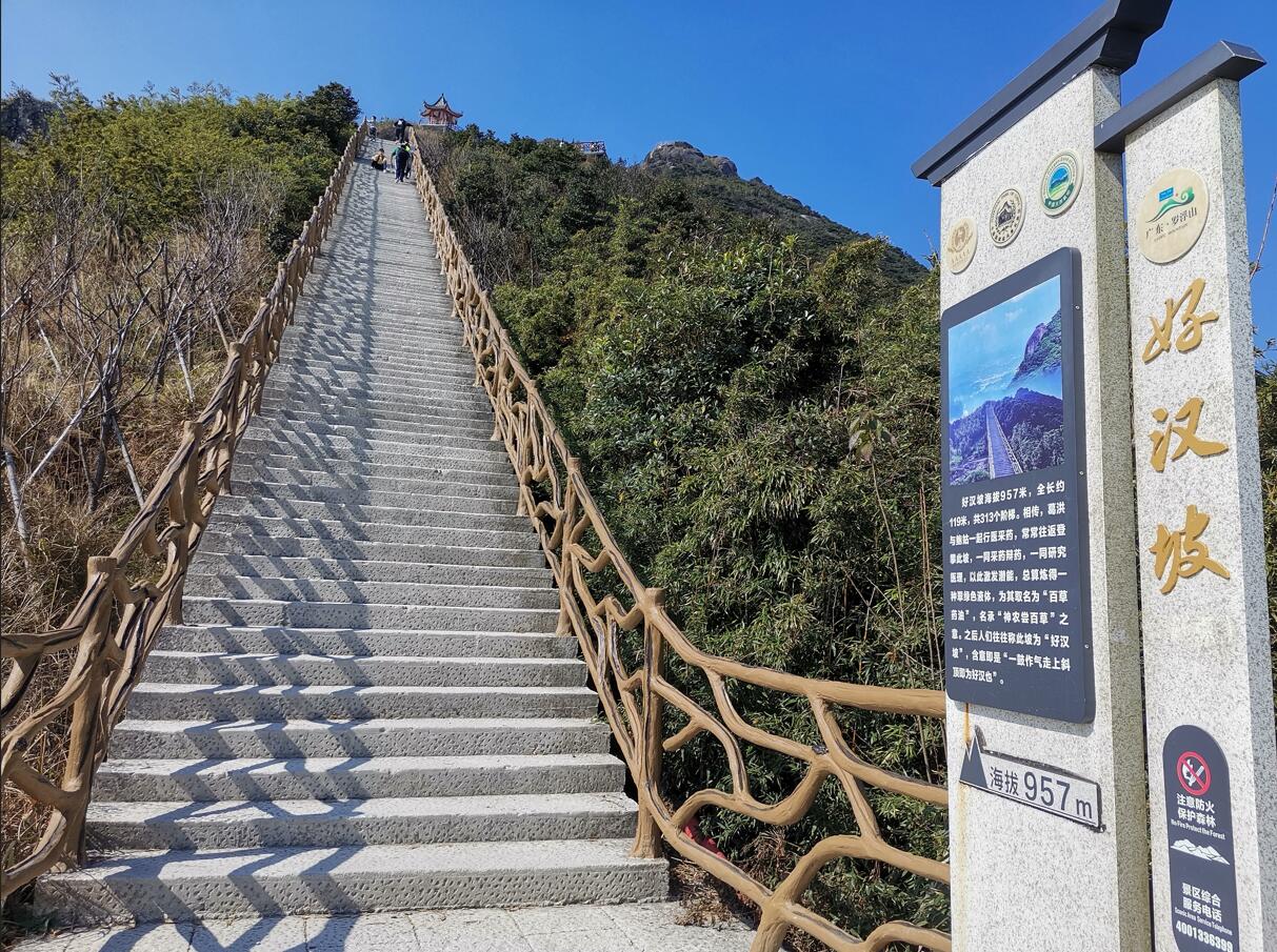 勇攀岑岭，，，，共创未来_公司动态_NG电子游戏